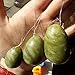Set of 3 Natural Green Jade Egg,MUIIGOOD Yoni Egg,Kegel Balls,Massage Stones for Kegel Exercise Pelvic Floor Muscles Vaginal Exercise Health Care Ben Wa Balls for Women Gift