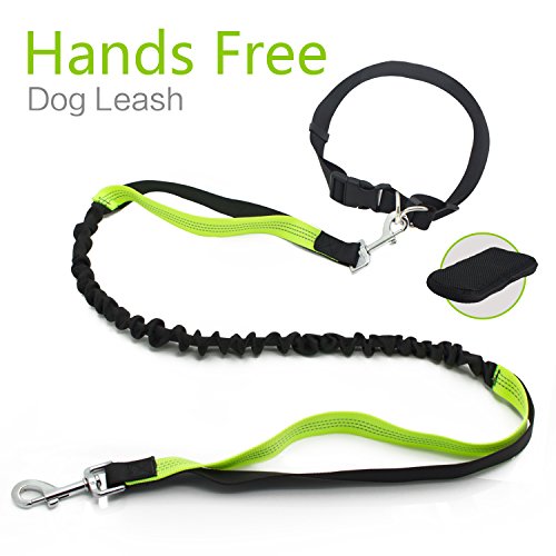 Roadwi Hands Free Dog Leash, Dual Handle Bungee Leash for Shock Absorbing, Adjustable Waist Belt with Storage 