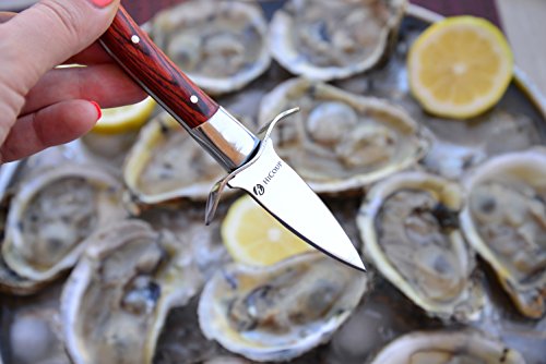 5 Oyster+Knife+HiCoup+Wood+handle+Shucking