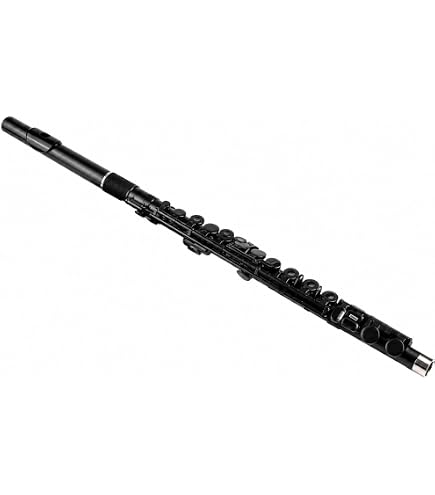 Amazon.com: Nuvo Student Flute Kit - Black : Musical Instruments