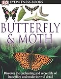 DK Eyewitness Books: Butterfly and Moth