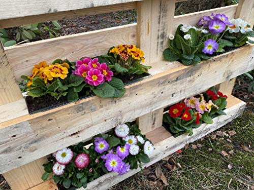 Hossi's Wholesale 10er Set Zink Paletten Blumenkästen - Einsatz 38cm groß Silber - aus Metall verzinkt - Zinkkasten Pflanzkasten Balkonkasten Blumentopf für Europaletten – Bild 8