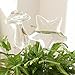 Creative Love Heart Shaped Hand Blown Clear Glass Flower Automatic Waterer Plant Self Watering System for Garden House Outdoor Small Plant Potted Plant Water Bottle Waterer Container (Sweet Heart)thumb 3