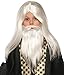Rubies Child's Forum Wizard Wig, Moustache, & Beard, White