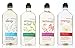 Aromatherapy Body Wash and Foam Bath -- Eucalyptus Spearmint + Lavender Vanilla + Orange Ginger + Black Currant Vanilla -- Set of 4 Bottles Bath and Body Works Shower Gel and Bubble Bath - 10 oz each