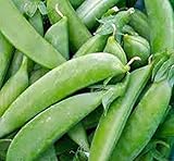 Pea Seed, Sugar Snap Pea, Heirloom, Organic, Non Gmo, 20+ Seeds, Perfect Peas