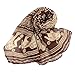 Coromose® Womens Elephant Print Long Scarf Shawl Wrap Pashmina (Brown)