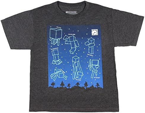 Minecraft Big Boys' Glow-In-The-Dark Constellations T-Shirt (Charcoal, Large)