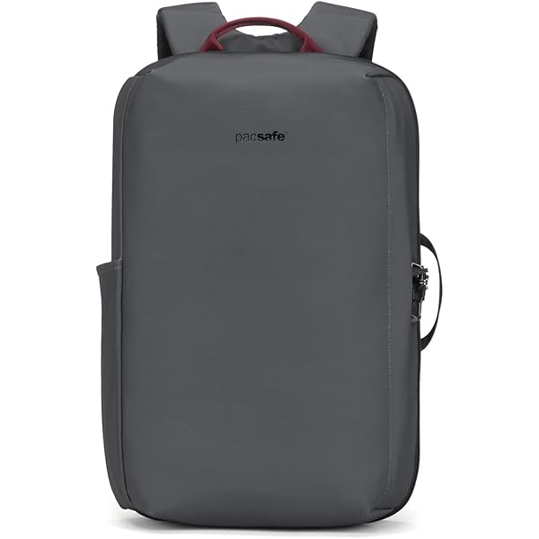 Amazon.com: Pacsafe Vibe 25L Anti Theft Travel Pack Casual Daypack