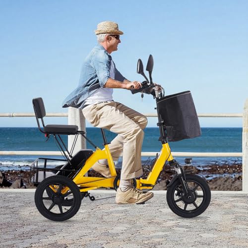 Electric Tricycle for Adults, Peak 500W Brushless Motor Electric Trike, 480Wh Removable Battery, Step-Thru 3 Wheel Electric Bike, 2 Seats, Up to 45 Miles, Folding E Trike Ebike, Gift for Parents