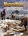 Mammifères de la préhistoire by 