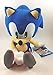 Super Sonic the Hedgehog 11.5