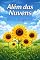 Livro Além das nuvens: o outro lado do não