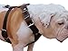 Brown Genuine Leather Dog Harness Large. 30