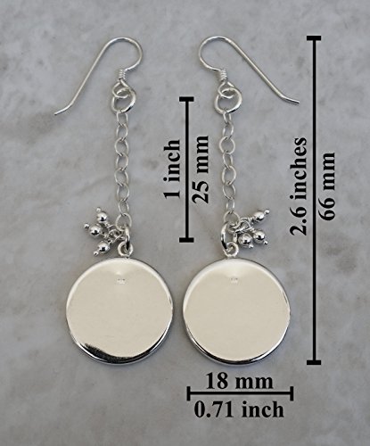 Artificially Grown Ear in Petri Dish Biology .925 Sterling Silver Earrings