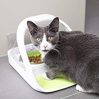 Sure Petcare Microchip Pet Feeder Connect Amazon Ae Amazon Us