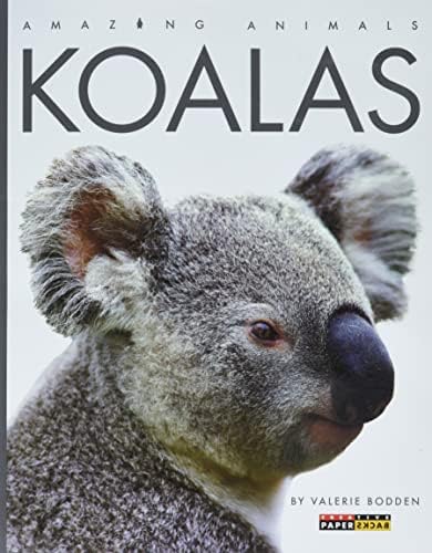 Koala: A Natural History and an Uncertain Future: Clode, Danielle