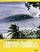 The Stormrider Surf Guide: Central America and the Caribbean