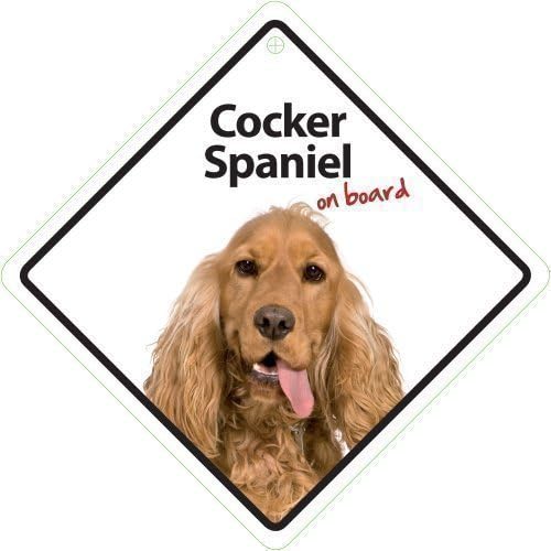 Magnet & Steel Cocker Spaniel On Board