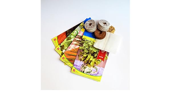 Kit de semillas 4 tipos de hierbas aromáticas para huerto urbano ...