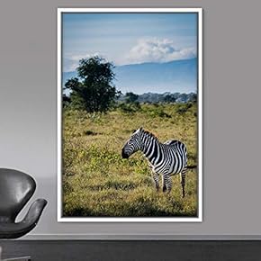 signwin Framed Canvas Wall Art Zebra Animals Dramatic...