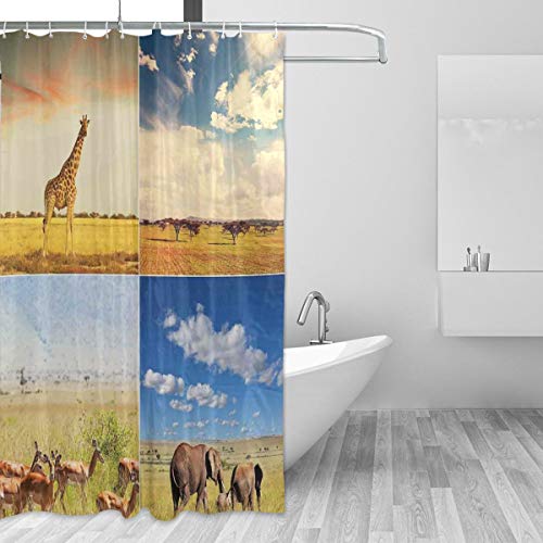 CHASOEA Unique Shower Curtain,African Safari Collage Lanscape with Native Animals Grassland Savannahs Mamals,Eco-Friendly with 12 Hooks in Bathroom W72xH96
