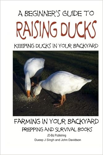 A Beginner S Guide To Keeping Ducks Keeping Ducks In Your