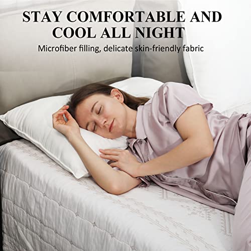 MAXICOZY Fluffy Bed Pillow for Sleeping 2 Pack Queen Size, Microfiber Filling Breathable Soft