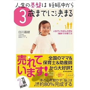 Jinsei no kiban wa ninshinchuÌ„ kara sansai made ni kimaru : jinsei de ichiban taisetsu na sansai made no sodatekata