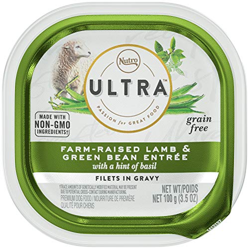 4 Best Brands of Holistic Dog Food How to Buy Holistic