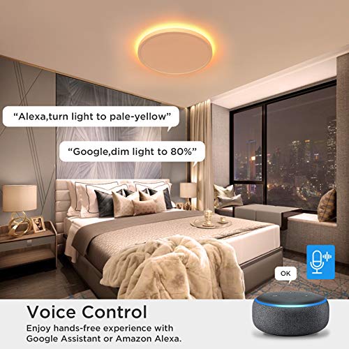 Smart LED Flush Mount Ceiling Light WiFi, Works with Alexa Google Home, 12inch 24W Adjustable Light with Ambient Light Fixture for Bedroom Living Room Dining Hall Party - Image 7