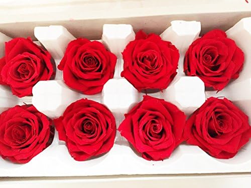 Dalat Forest Flowers Preserved Flowers Arrangements for Any Special Day