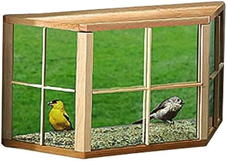 Amazon Com Birding Company 78612 Bay In House Window Wild Bird