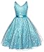 Olivia KOO Lovely Lace V-Neck Flower Girl Dress