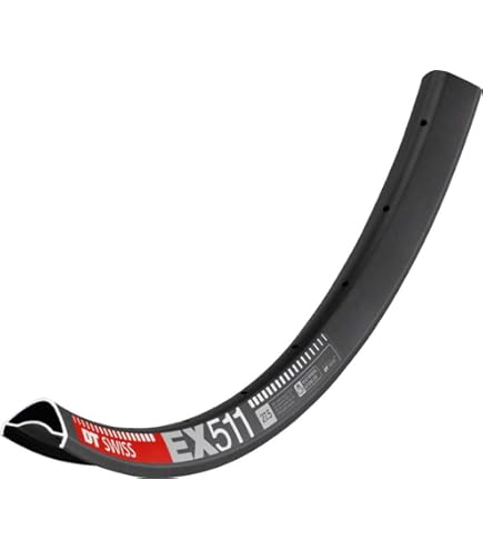 Amazon.com : DT Swiss R 460 DB 700c : Sports & Outdoors
