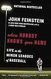 Where Nobody Knows Your Name: Life in the Minor Leagues of Baseball (Anchor Sports)
