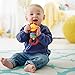 Fisher-Price Newborn Baby Toy Collection, Animal-Themed Rattles Teethers and Clacker Toys for Tummy Time & Sensory Play