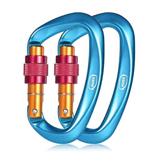 JUST SAY YES BSRN Rock Climbing Carabiner Clip Locking and Heavy Duty