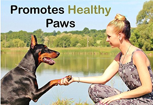 Handy Hound All Natural Paw Butter | SnoutScreen Paw Balm and Sunscreen for Dogs Bundle | Paw Butter 2 oz + SnoutScreen 2 oz (4 oz Total)
