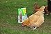Mealworms - Premium Dried Mealworms (1 lb bag) byTasty Bug Treats (Meal Worms)