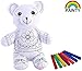 Coloring Paint Animal Doll Kit for Kids Washable Paint Bear