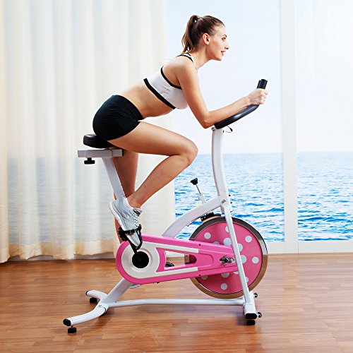 sunny health and fitness bike pink