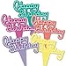 Oasis Supply 12 Count Vintage Happy Birthday Signs Pick Decorative Cake Topper, Neon