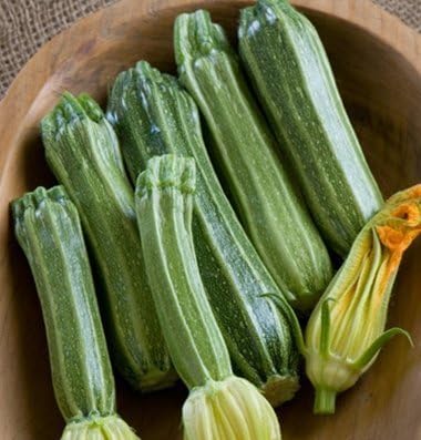 Legend Online Garden Seeds Zucchini Costata Romanesco D2053A (Green) 50 Heirloom Seeds