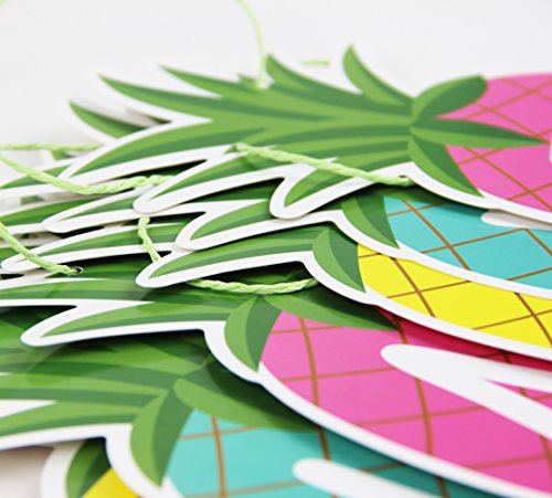SUNBEAUTY 1.5m Colorful Summer Pineapple Banner Luau Tiki Party Supplies Hawaiian Theme Decor