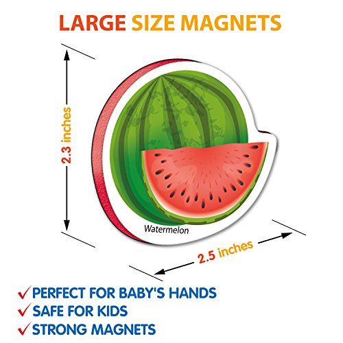 3 Refrigerator+Magnets+kids+FRUITS+VEGGIES