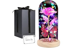 GIIFER Valentine's Day Rose Gifts for Mom Women, Light up Forever Roses in Glass Dome Galaxy Butterfly Rose Globe Present for Her Grandma, Eternal Rose Gift for Mother's Day Anniversary from Daughter (Pink)