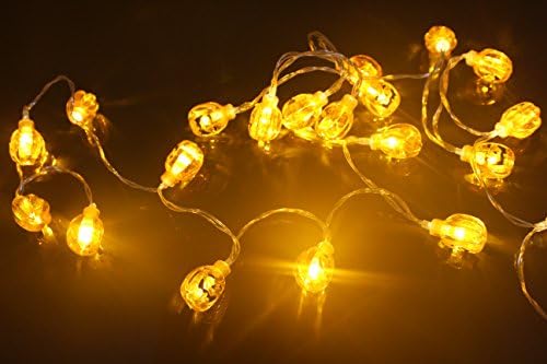 Wish you have a nice day 3D Jack-O-Lantern orange Pumpkin Decoration String Lights,20 leds Christmas and Halloween String Lights Battery Operated for holiday,Party,Wedding