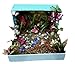 24pcs Purple&blue 3d Butterfly Stickers, Wall Stickers Crafts Butterflies, Wall Decoration, Fridge Magnet