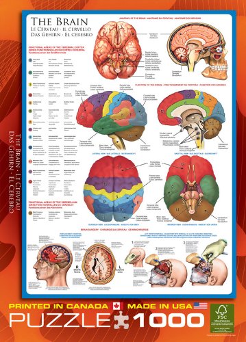 EuroGraphics Human Body (The Brain) 1000 Piece Puzzle